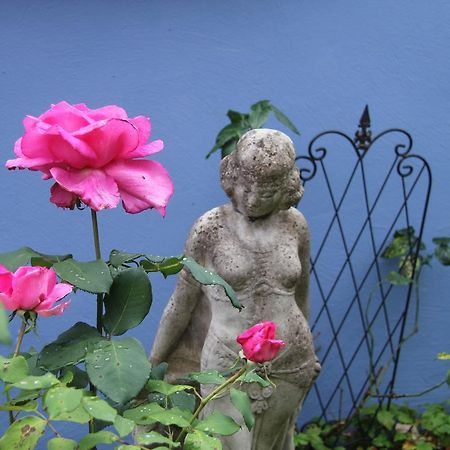 No.31 B&B Im Rosengarten Kapellen-Drusweiler Экстерьер фото