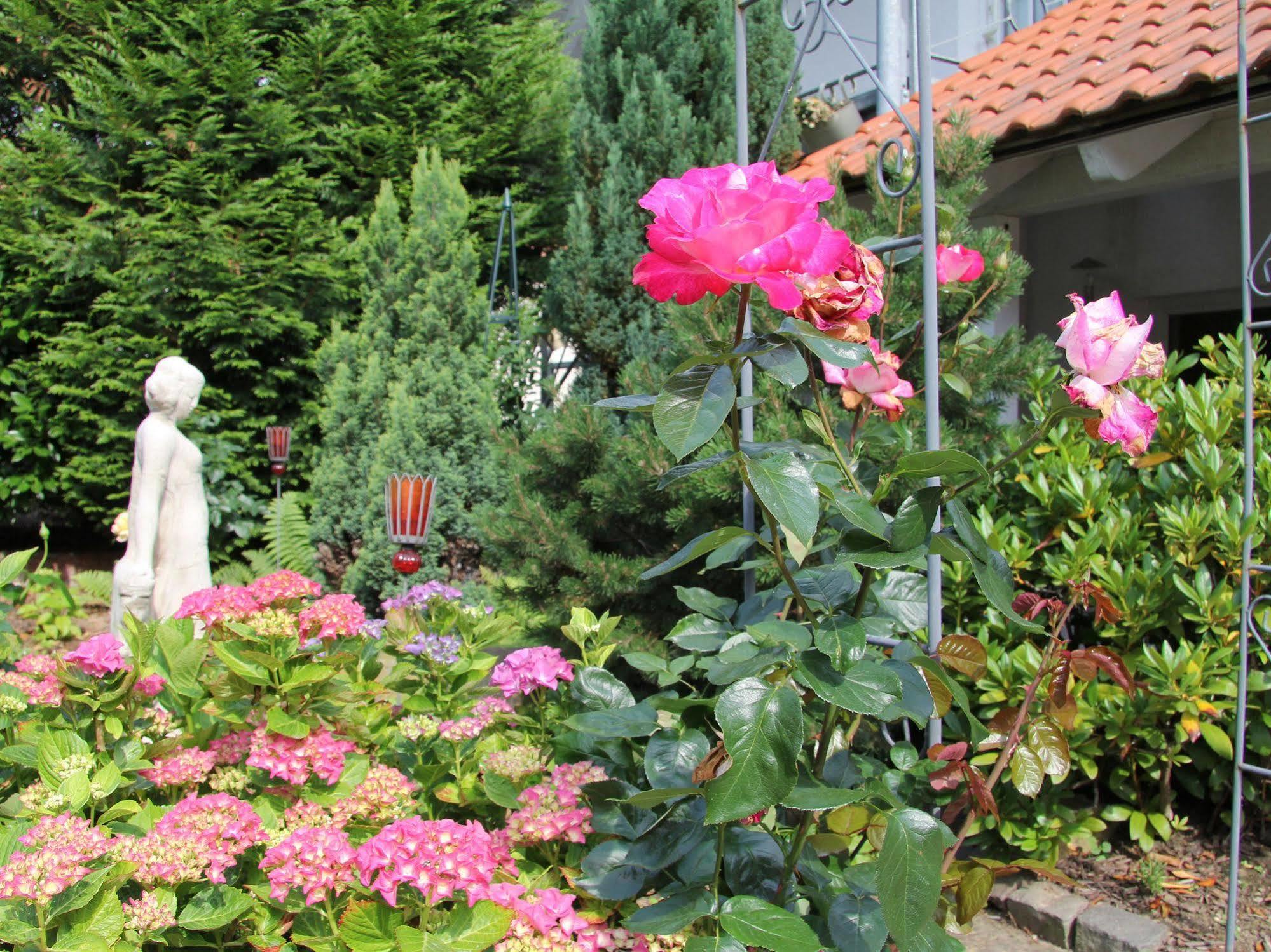 No.31 B&B Im Rosengarten Kapellen-Drusweiler Экстерьер фото